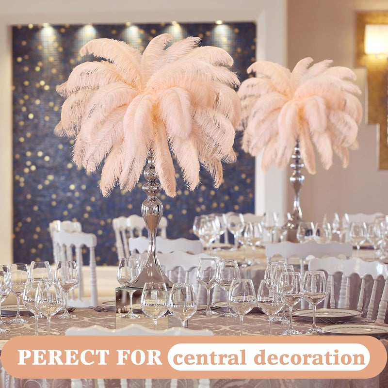 Retrowavy Store 50 Pcs 14-16 Inches Large Natural Ostrich Feathers Bulk for Centerpieces for Wedding Party Centerpieces Home Decoration Flower Arrangement(Champagne) - Image 4